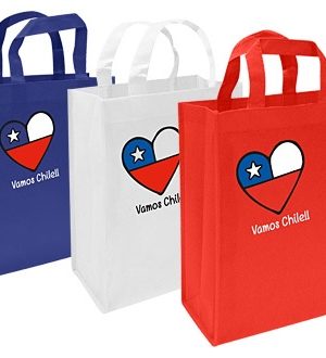 bolsa Vamos Chile