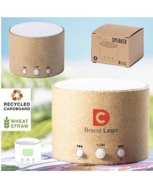 Parlamnte-Bluetooth-carton-reciclado